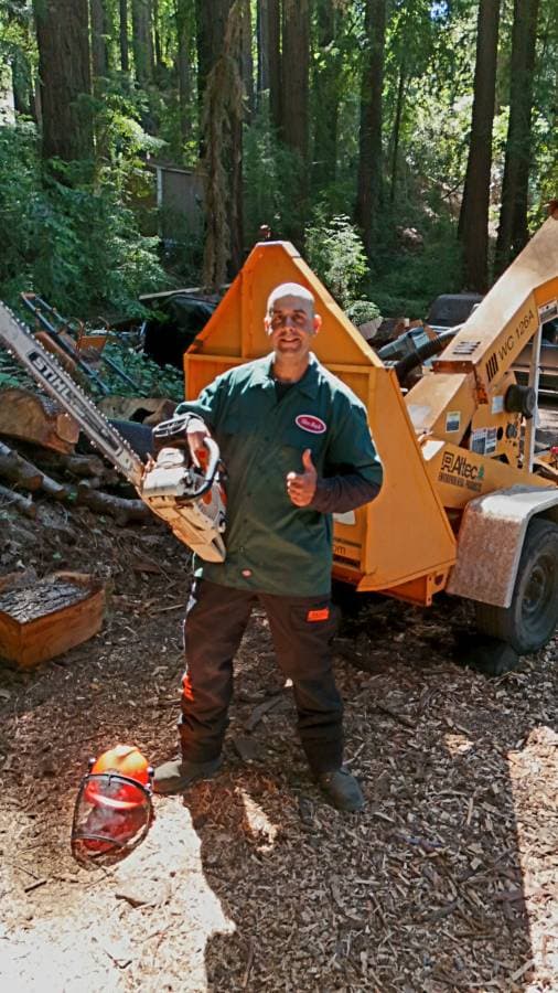 Tree care professional in safety gear holding a chainsaw on a job site