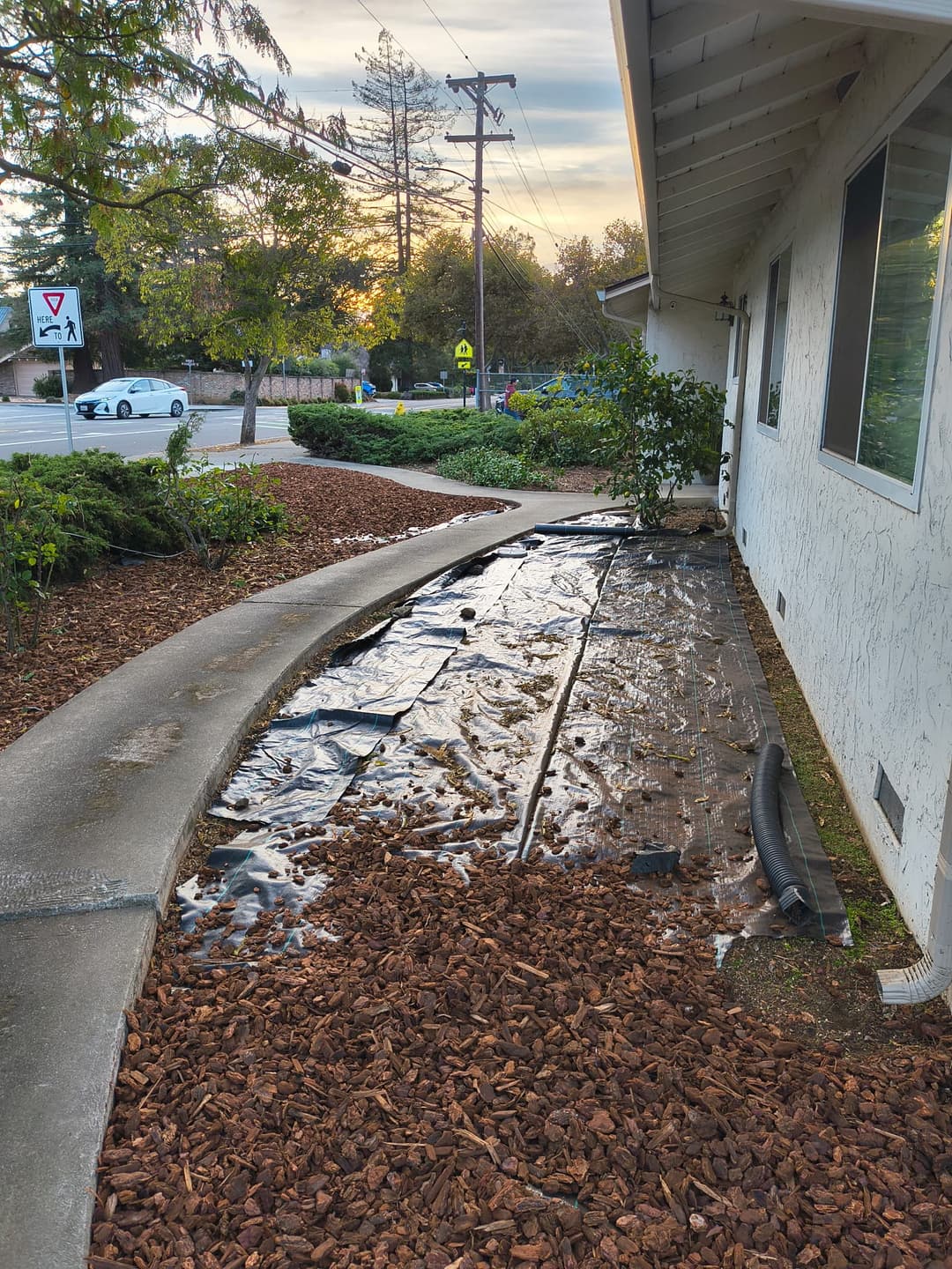 Landscape area with weed barrier fabric being installed along a walkway, partially covered with mulch
